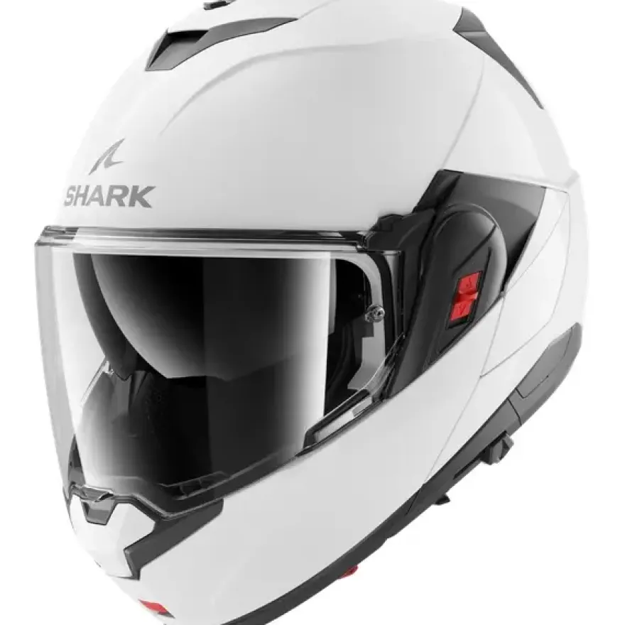 Shark OXO Blank Pearly White